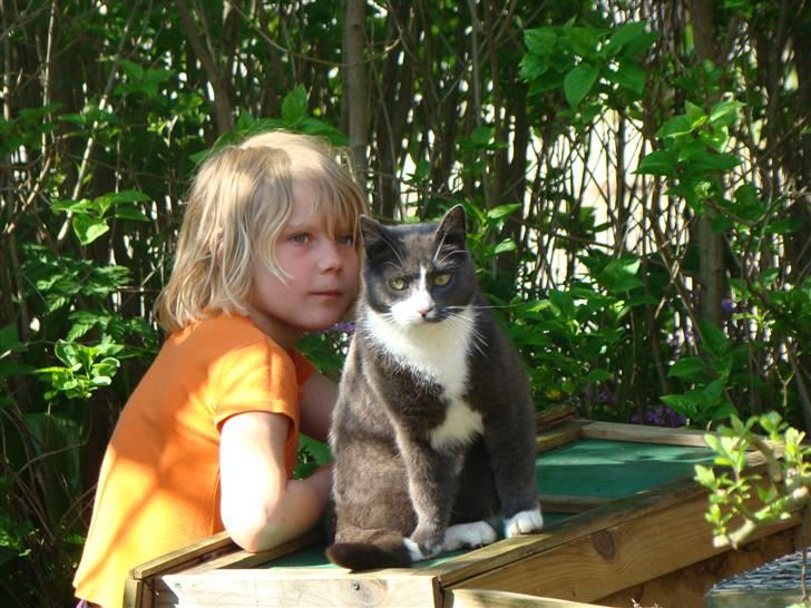 Huskat "lille" Mis billede 9