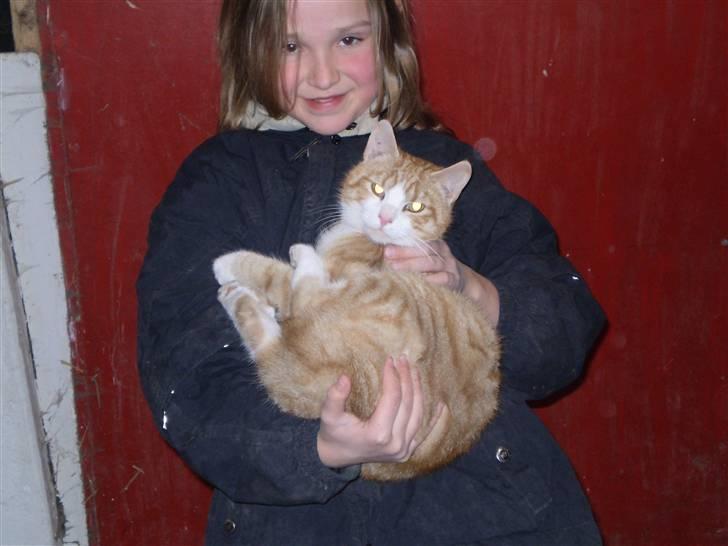 Huskat Skøttesmindes Mikkel - Smill til kameraet. billede 2