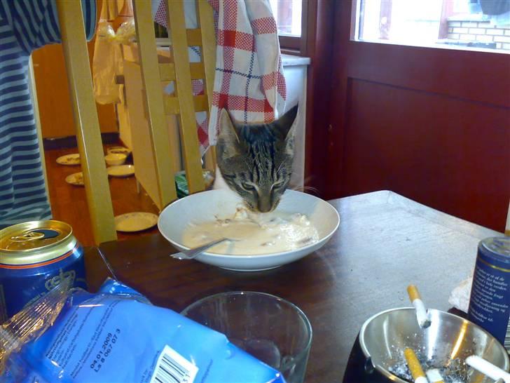 Blanding af racer Thorkild - Jeg sidder altid med til bords... Og her får jeg rent faktisk noget :-) billede 2