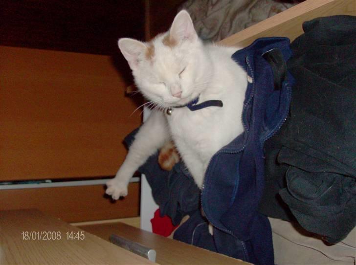 Blanding af racer silke - kan lige klare og ligge i skuffen det er skønt. billede 1