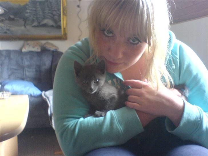 Huskat Alfred <3 billede 6