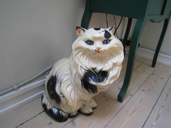 Perser Massen *30.06.2001 -26.05.2014 * - Ham her er opkaldt efter mig fordi min mors veninde er så vild med mig billede 12