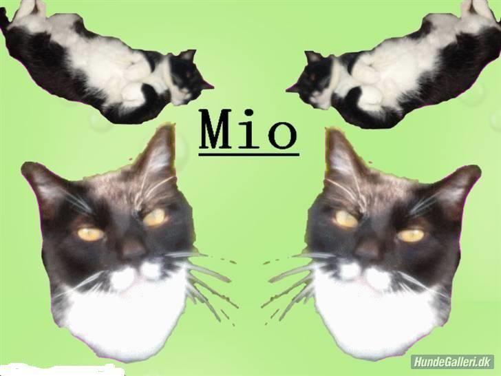 Blanding af racer Mio - et grafik billede af mio.. billede 19