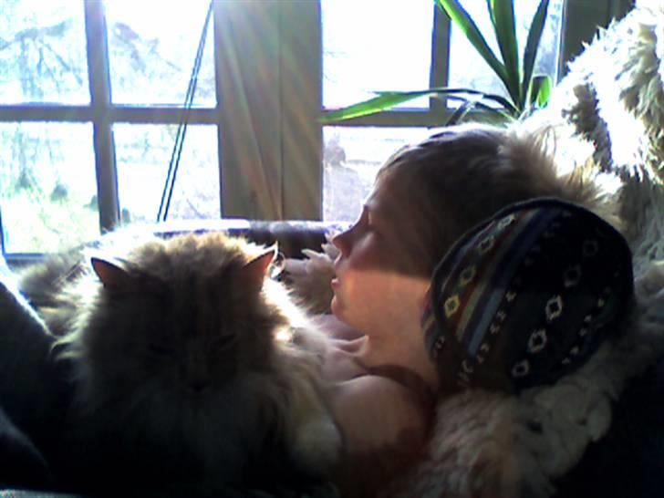 Blanding af racer Katja billede 13