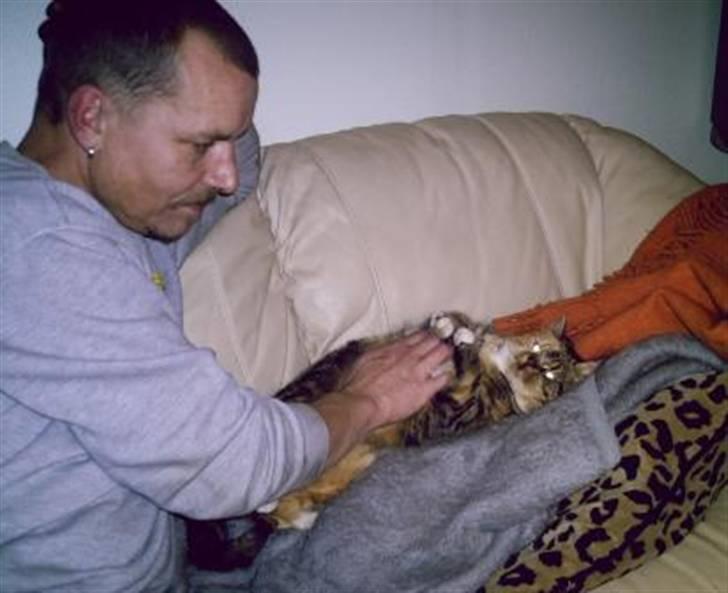 Blanding af racer Bonni billede 2