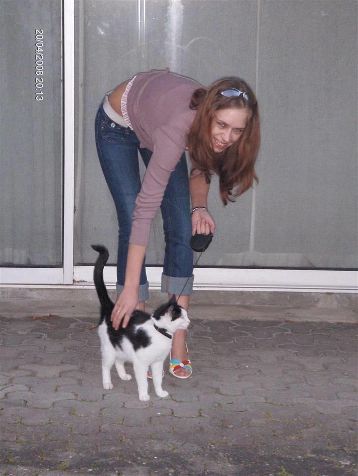 Huskat Kitty Myre billede 5