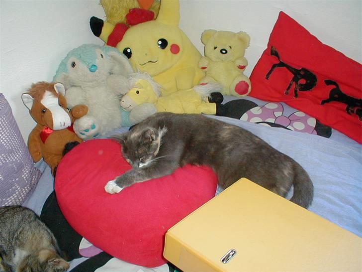 Blanding af racer Puff † - Das! billede 12