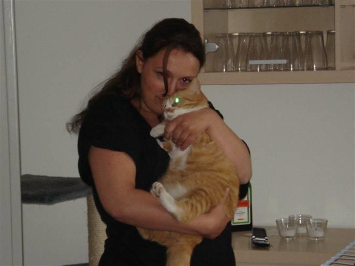 Huskat Kenzo billede 19