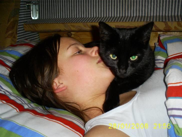 Huskat pjuske - Det pjuske er skønt er og ligge ved nogle om natten billede 20