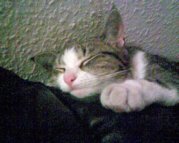 Huskat Tulle - Tulle..........................<33 billede 4