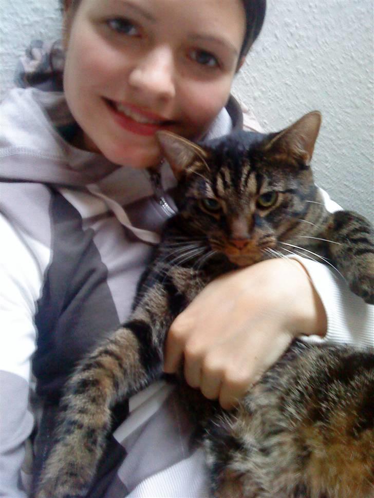 Blanding af racer Nemo billede 3