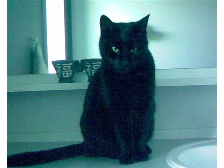 {{currentPhoto.altText}} billede {{currentPhoto.number}}