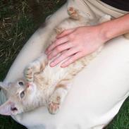 Blanding af racer Prinsesse *~død~*