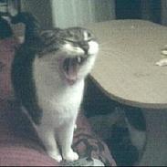 Blanding af racer Herkules