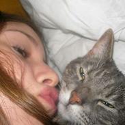 Blanding af racer Pjuske