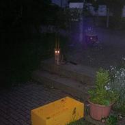 Blanding af racer Pjuske