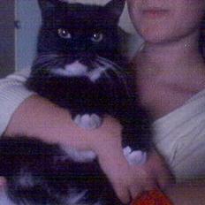 Blanding af racer Max(Død)