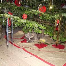 Blanding af racer Snip