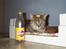 Blanding af racer Nenya - Lille Cocio kat :)