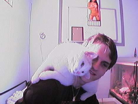 Huskat Bettemis - Her elsker hun at ligge billede 15