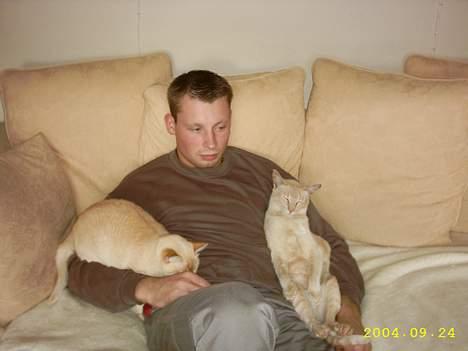 Blanding af racer Cartman billede 9