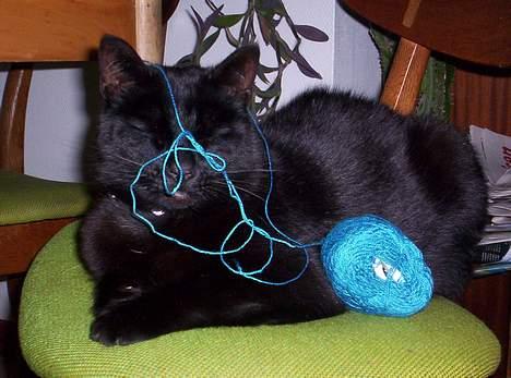 Blanding af racer Carlos billede 10