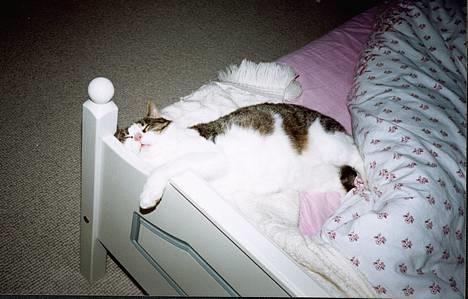 Huskat Pjevs billede 3