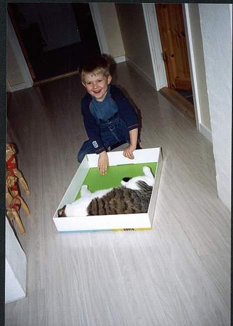 Huskat Pjevs - Supersjovt at bliver trukket rundt i en papkasse billede 4