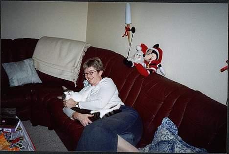 Huskat Pjevs - Hygger ved moar billede 7