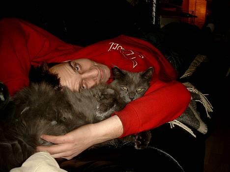 Maine Coon felix - far er den bedste i verden billede 11