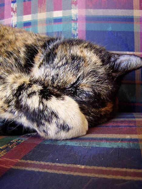 Huskat <3 Fie <3 - 1-2-3-4-5-6-7-8-9-10 Nu kommer jeg  billede 7