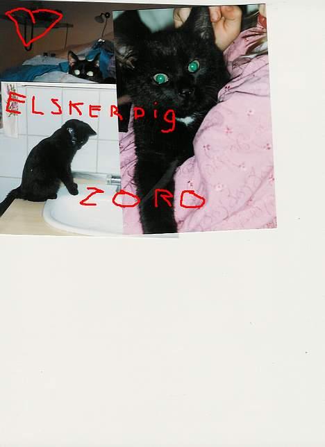 Blanding af racer zoro billede 16