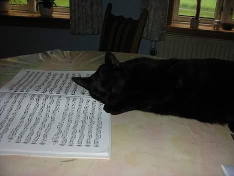 Huskat Hr. Mortensen - ZzZzZzzZzzzZ... billede 9