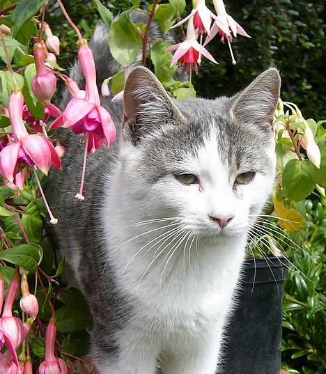 Huskat ?!?  billede 4