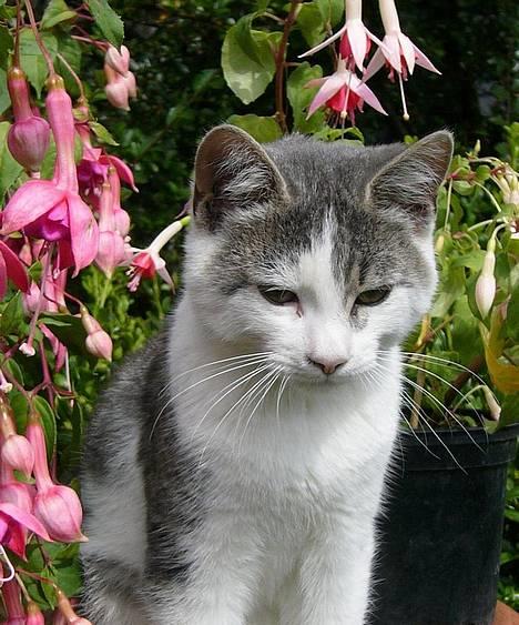 Huskat ?!?  billede 5