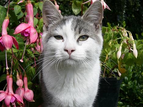 Huskat ?!?  billede 6