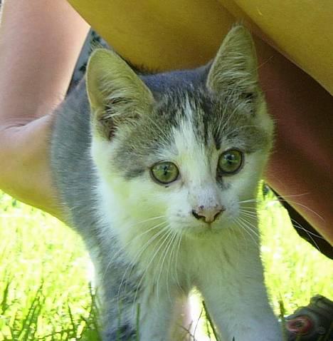 Huskat ?!?  - Wohw hvad er det der sker bag skærmen?! billede 8