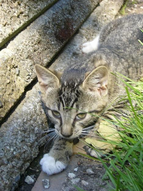 Huskat ?!  - Årh nej opdaget... billede 6