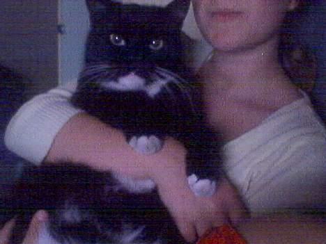 Blanding af racer Max(Død) - er han ikke dejlig? billede 2