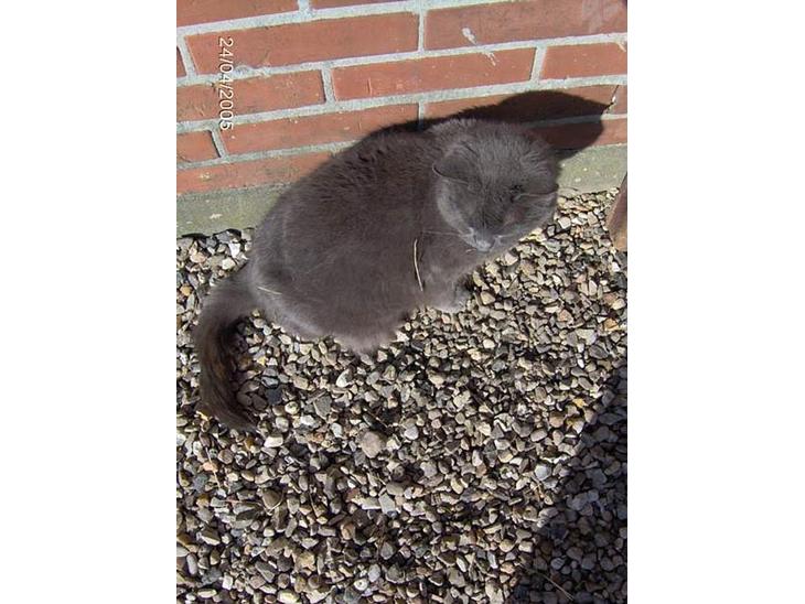 {{currentPhoto.altText}} billede {{currentPhoto.number}}