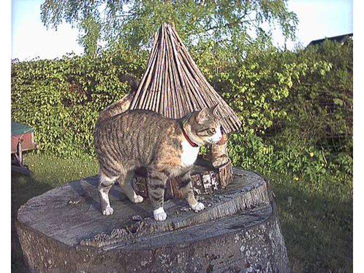 {{currentPhoto.altText}} billede {{currentPhoto.number}}