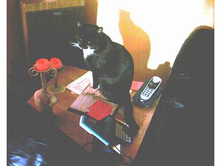 {{currentPhoto.altText}} billede {{currentPhoto.number}}