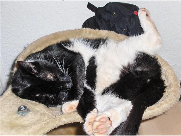 {{currentPhoto.altText}} billede {{currentPhoto.number}}