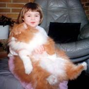 Perser Garfield *RIP*