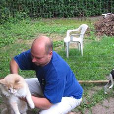 Norsk Skovkat justice