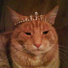 Blanding af racer simpley red