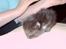 Maine Coon chilli