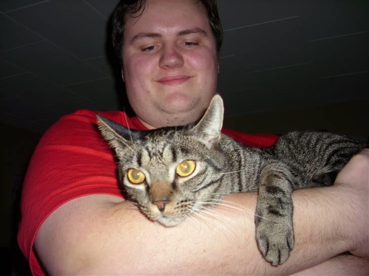 Blanding af racer Balder - Jeg tager lige en slapper... billede 8