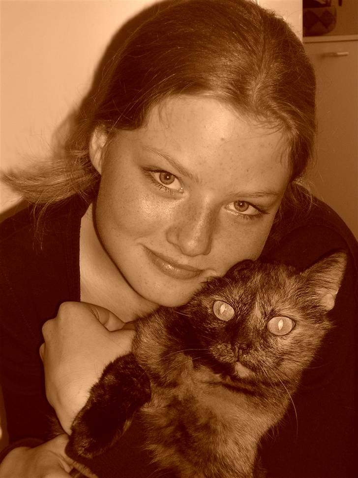 Huskat Bonnie *Tortie* R.I.P billede 10