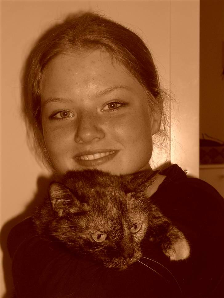 Huskat Bonnie *Tortie* R.I.P billede 11